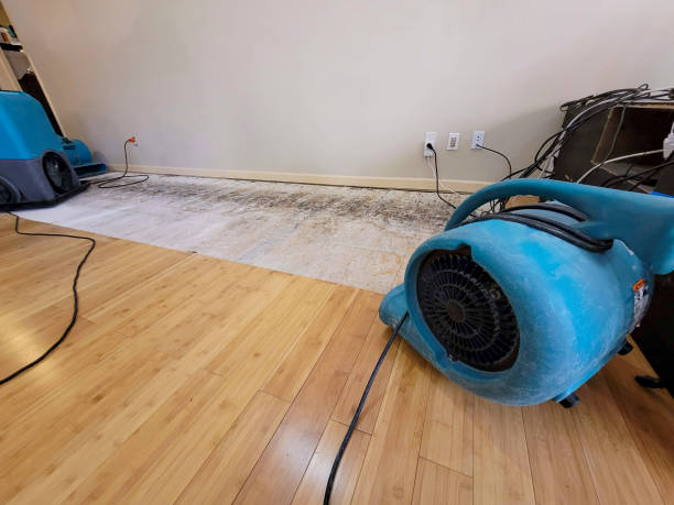 Professional Ceiling Water Damage Repair technician working in San Antonio, TX